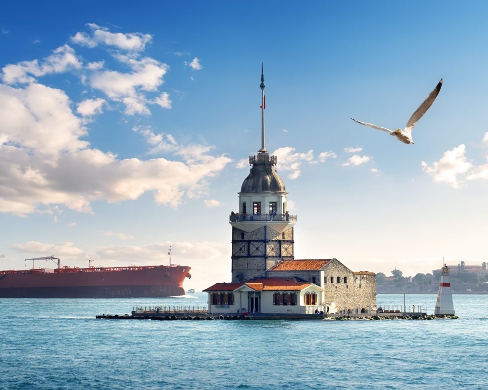 All Tour Keys Seagull flying near Maiden's Tower in Istanbul at day, Turkey